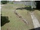 Forster NSW 2428