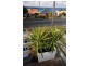 65  Becker Rd, Forster NSW 2428
