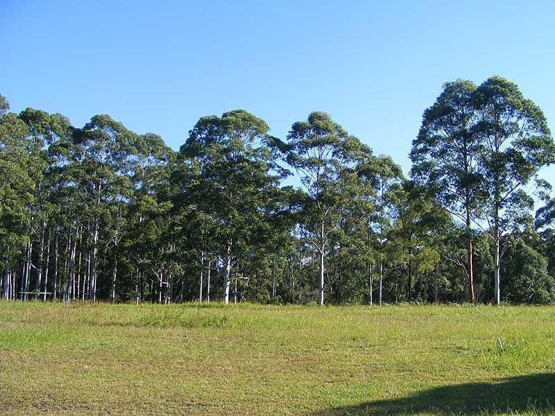 379  Highlands Dr, Failford NSW 2430