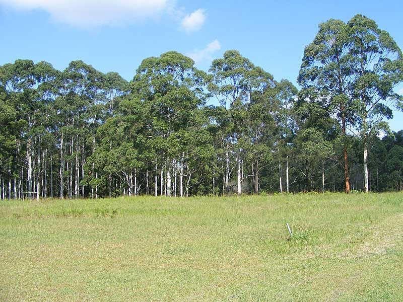 379  Highlands Dr, Failford NSW 2430