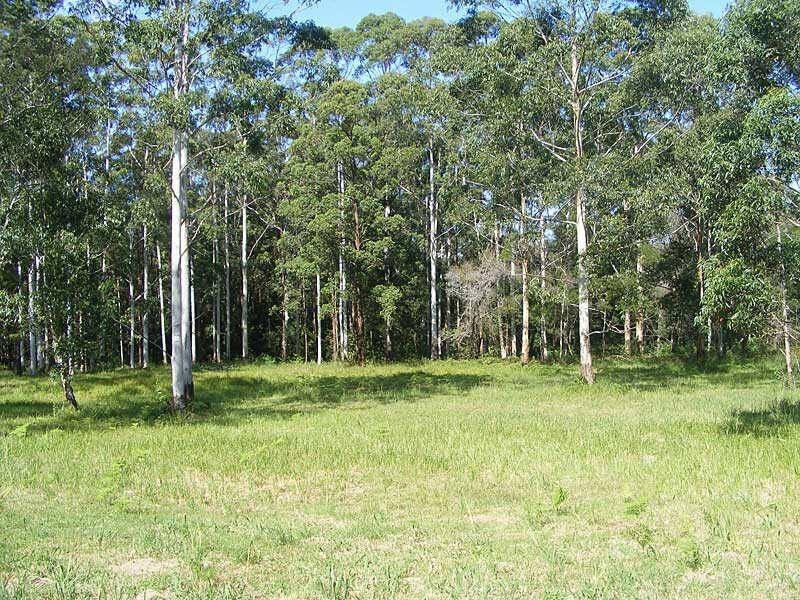 379  Highlands Dr, Failford NSW 2430