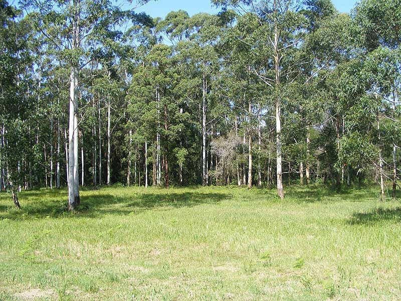 379  Highlands Dr, Failford NSW 2430