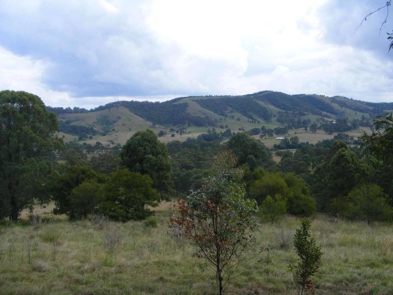 96  Bulby Cl, Dyers Crossing NSW 2429