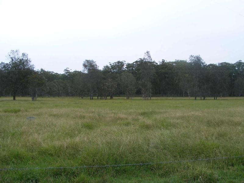 270  Willow Point Rd, Failford NSW 2430