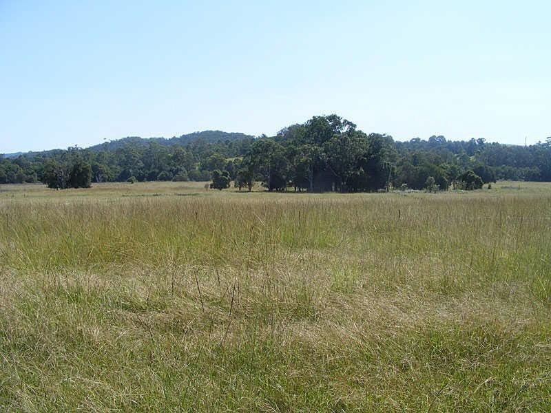 2617  Wallanbah Rd, Firefly NSW 2429