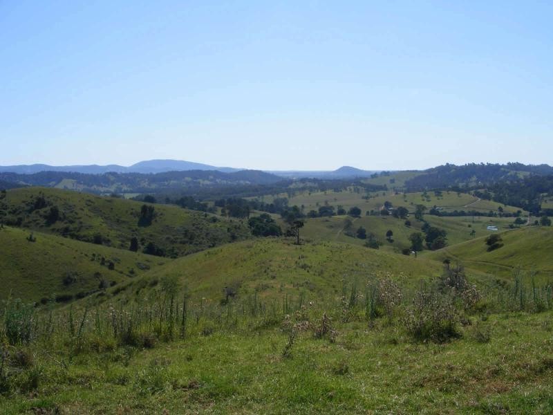 39  Sambells  Rd, Firefly NSW 2429