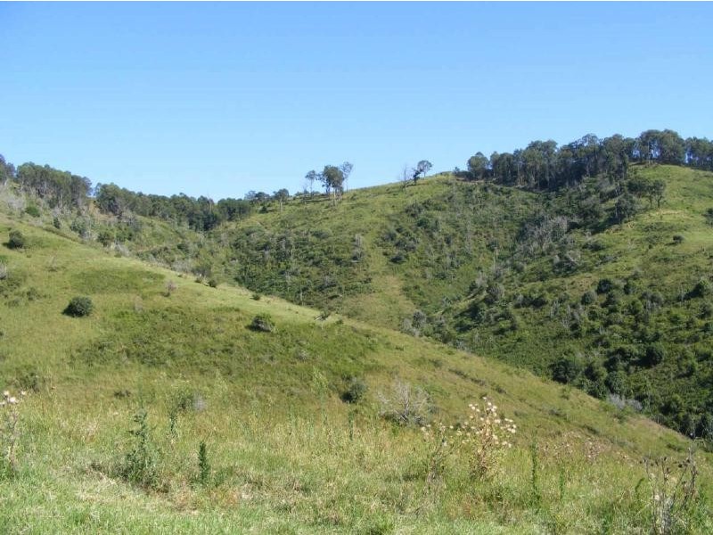 39  Sambells  Rd, Firefly NSW 2429