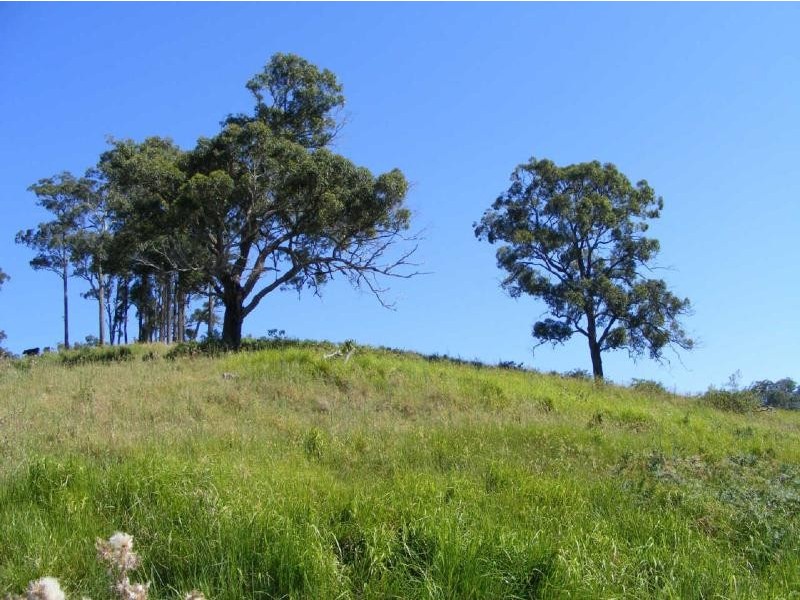 39  Sambells  Rd, Firefly NSW 2429