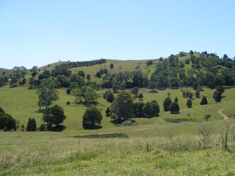 778 Bunyah  Rd, Bunyah NSW 2429