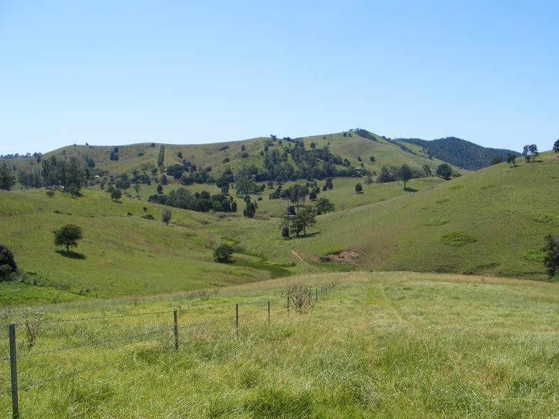 778 Bunyah  Rd, Bunyah NSW 2429