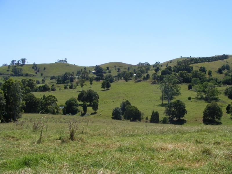 778 Bunyah  Rd, Bunyah NSW 2429