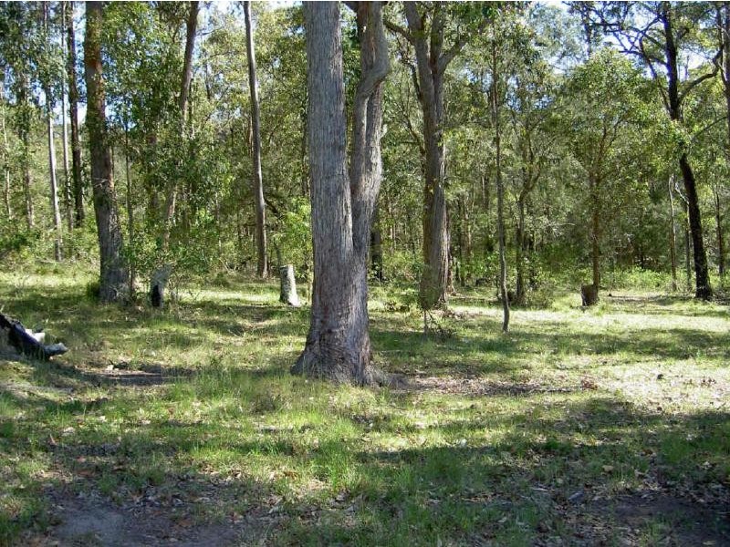 Nabiac NSW 2312