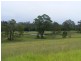 Nabiac NSW 2312