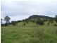 Nabiac NSW 2312