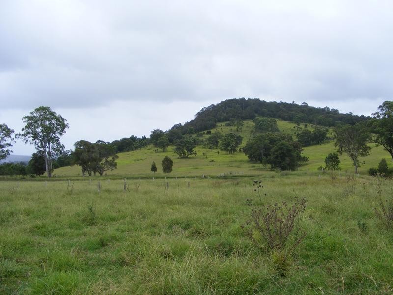 Nabiac NSW 2312