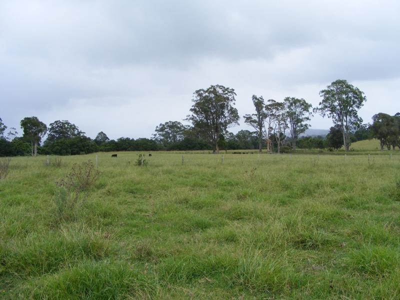 Nabiac NSW 2312