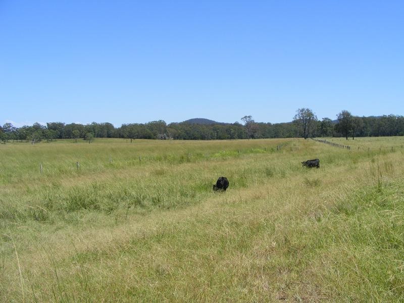 Nabiac NSW 2312