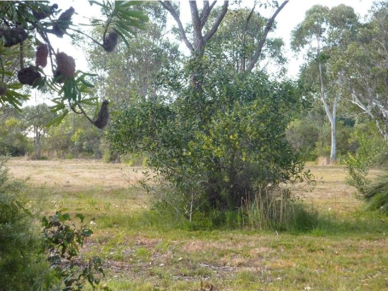 1  Wards Rd, Failford NSW 2430