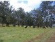 Lot 4/145  Koribah Lane, Dyers Crossing NSW 2429