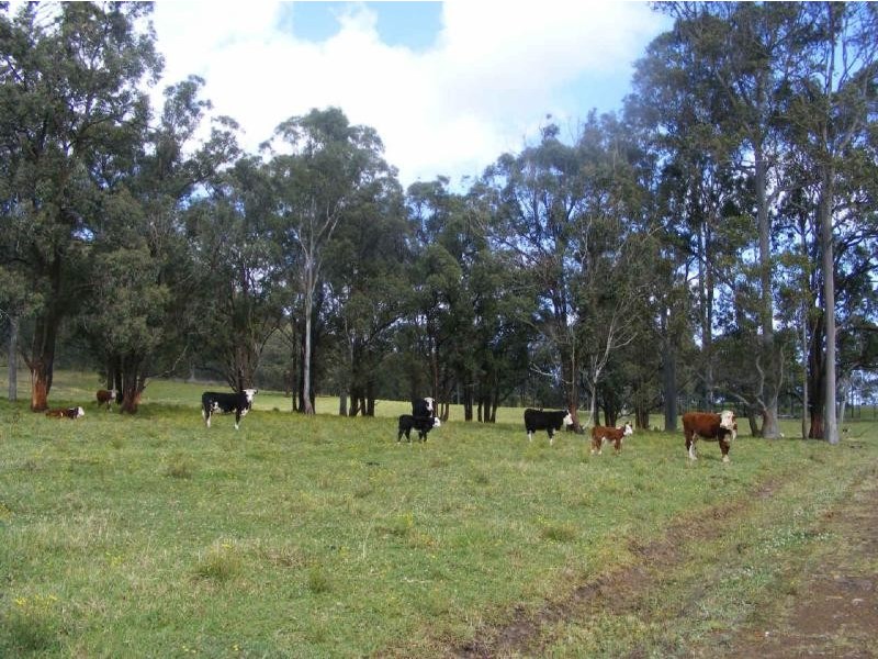 Lot 4/145  Koribah Lane, Dyers Crossing NSW 2429