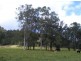 Lot 4/145  Koribah Lane, Dyers Crossing NSW 2429