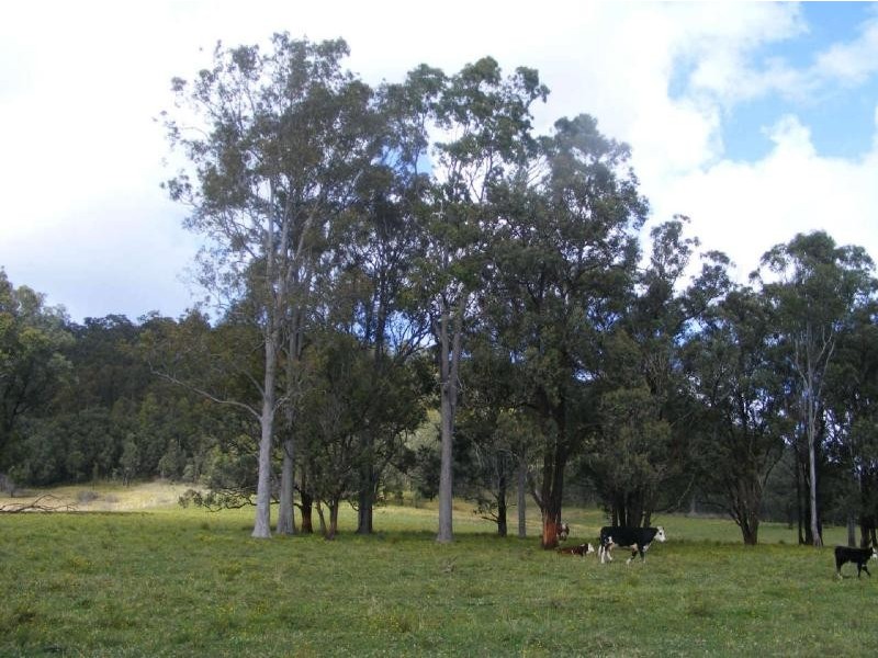 Lot 4/145  Koribah Lane, Dyers Crossing NSW 2429