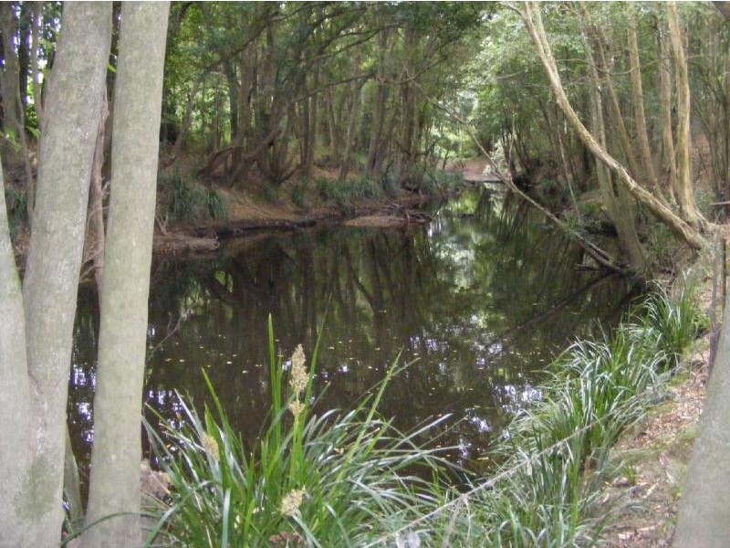 Lot 4/145  Koribah Lane, Dyers Crossing NSW 2429