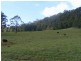 Lot 4/145  Koribah Lane, Dyers Crossing NSW 2429