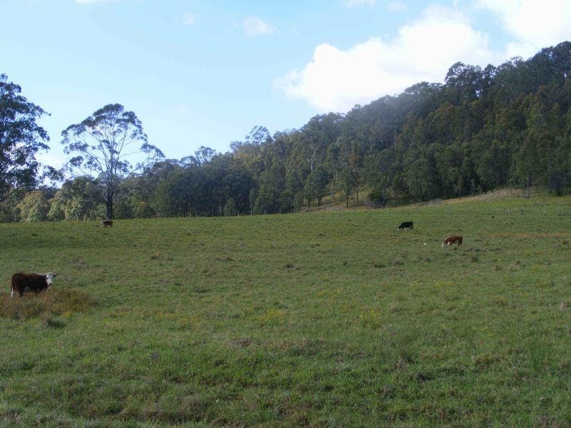 Lot 4/145  Koribah Lane, Dyers Crossing NSW 2429