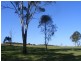 Nabiac NSW 2312