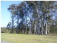Nabiac NSW 2312