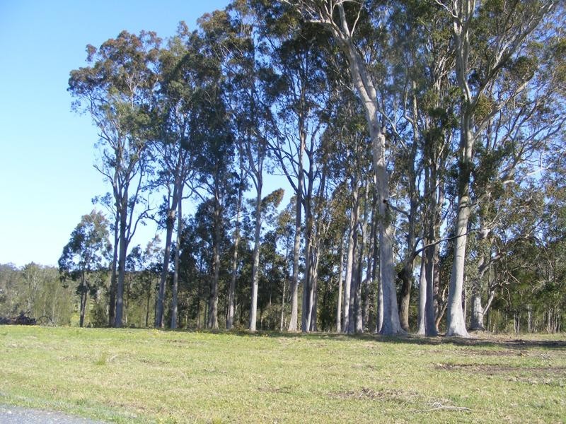 Nabiac NSW 2312