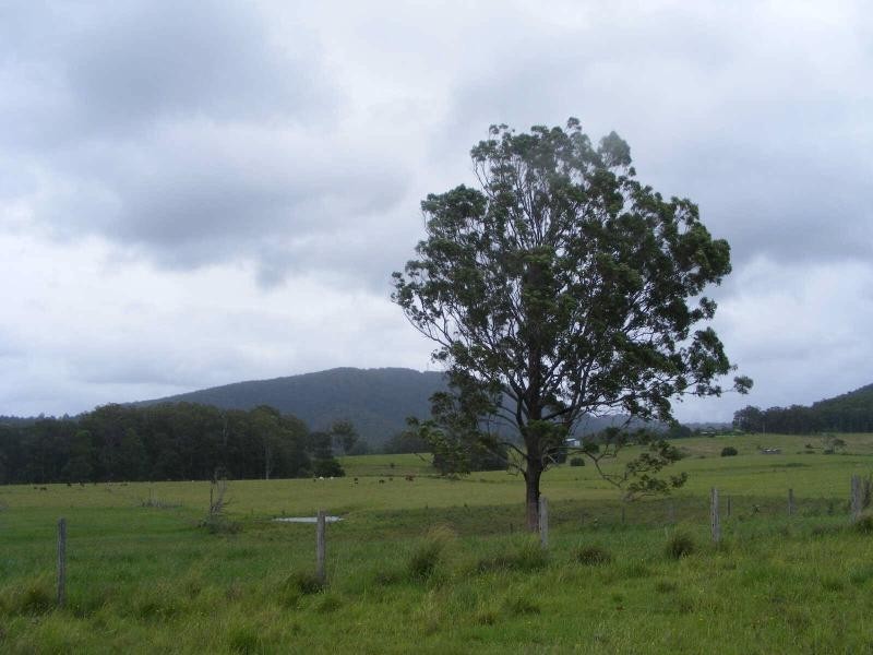 2 14651  Pacific Hwy, Nabiac NSW 2312