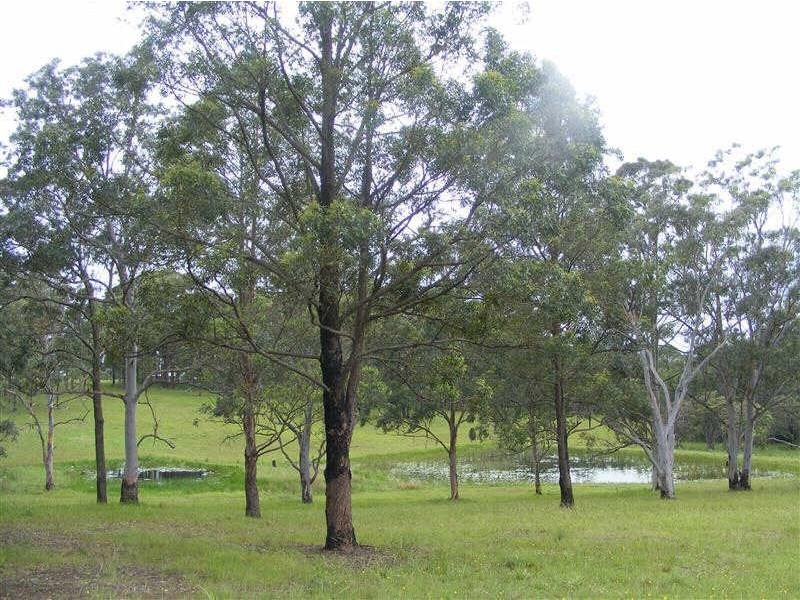 2 14651  Pacific Hwy, Nabiac NSW 2312