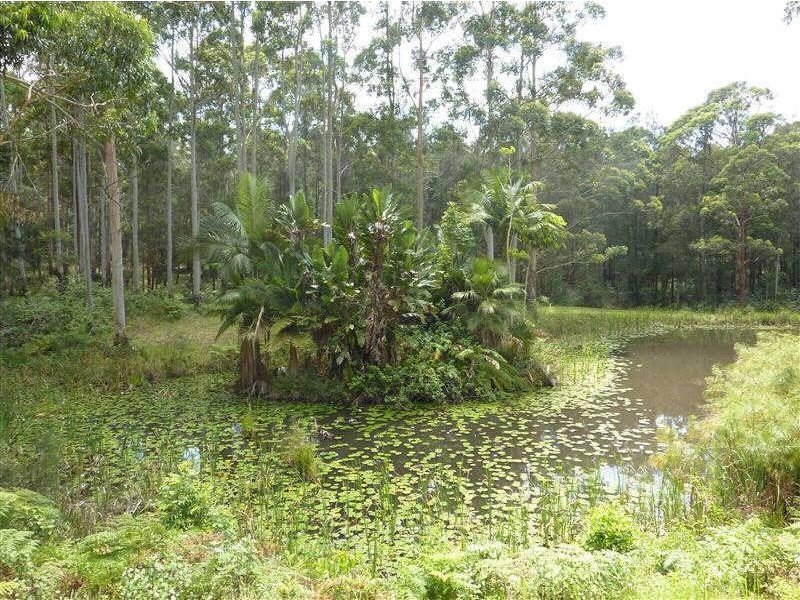 3023  The Lakesway Way, Tarbuck Bay NSW 2428