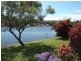 31  Wyuna Pl, Forster NSW 2428