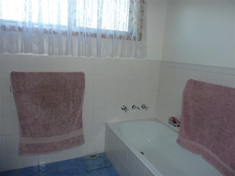 Krambach NSW 2429