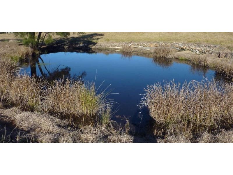 3870  The Bucketts Way, Krambach NSW 2429