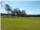 1145 Minimbah Rd, Nabiac NSW 2312