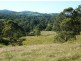 Krambach NSW 2429