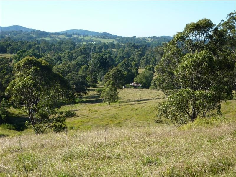 Krambach NSW 2429
