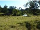 Krambach NSW 2429