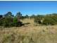 Krambach NSW 2429