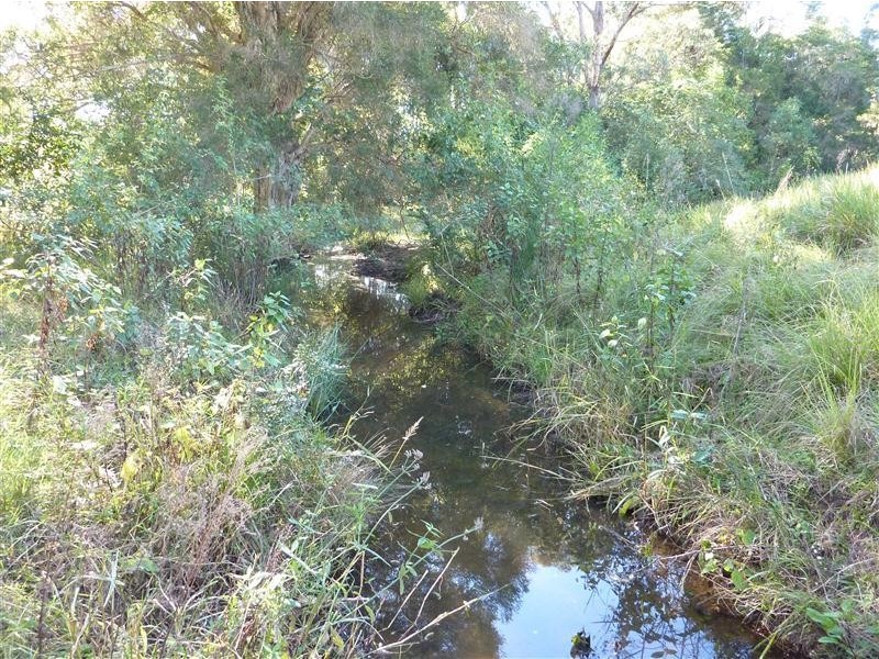 Krambach NSW 2429