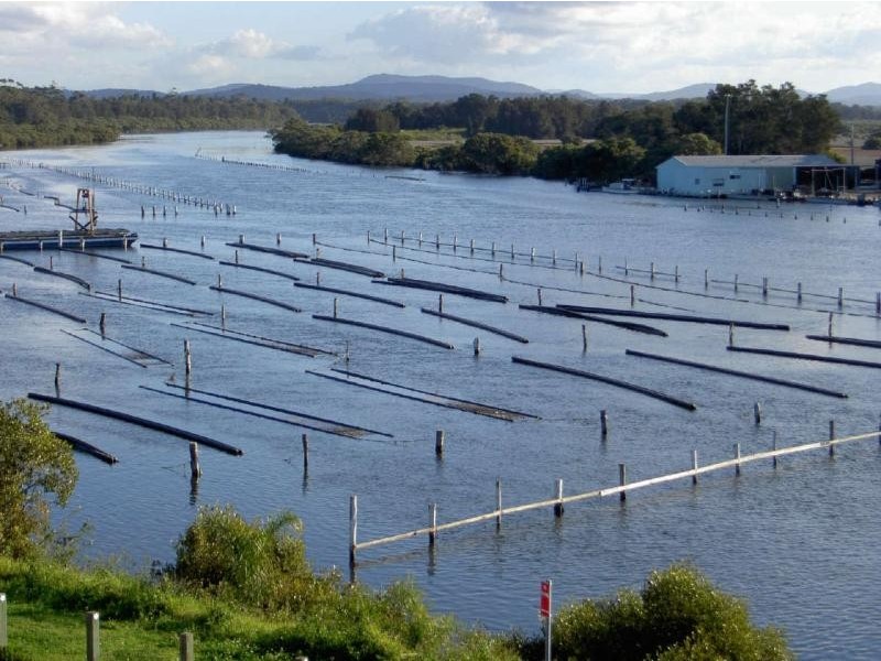 13/142-148 Little St, Forster NSW 2428