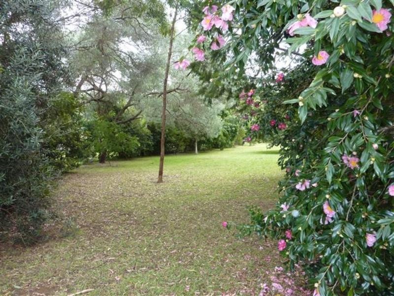 5 Figtree Dr, Diamond Beach NSW 2430