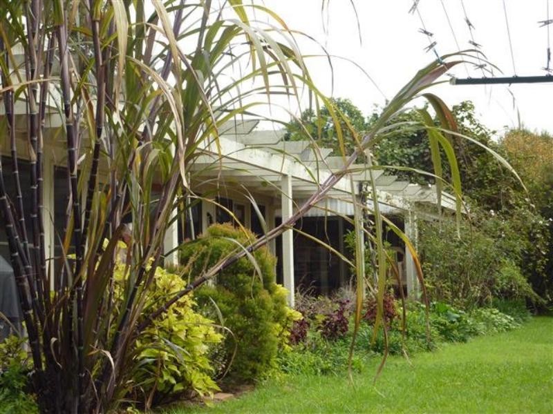 5 Figtree Dr, Diamond Beach NSW 2430