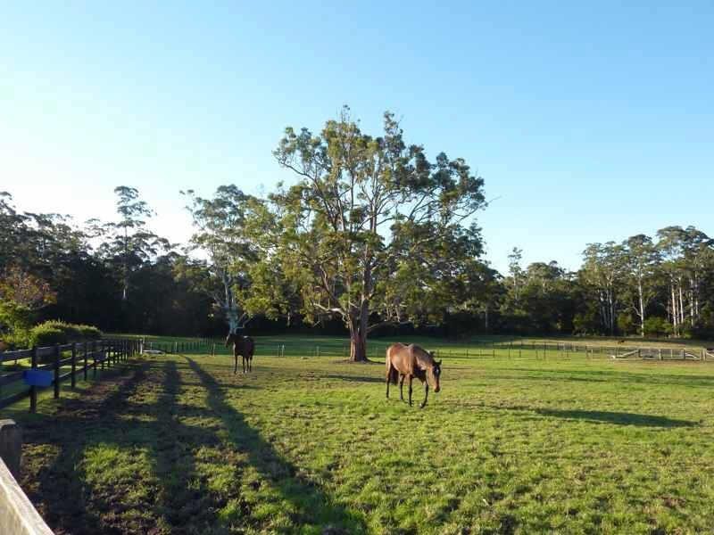 18  Tritton Rd, Possum Brush NSW 2430