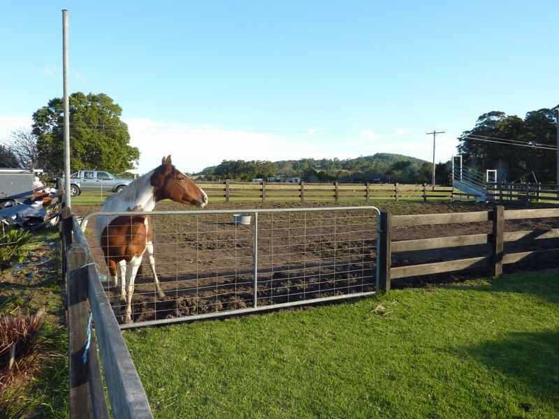 18  Tritton Rd, Possum Brush NSW 2430