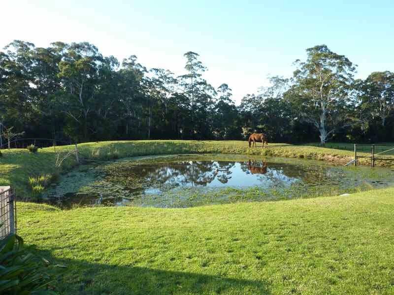 18  Tritton Rd, Possum Brush NSW 2430